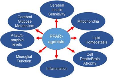 Reassessment of Pioglitazone for Alzheimer’s Disease